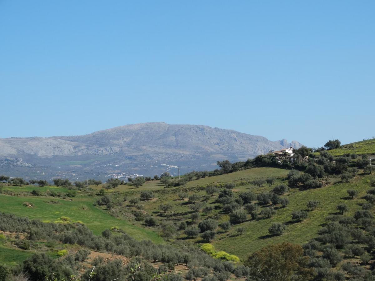 B&B Cortijo Loma Leon Кутар Экстерьер фото