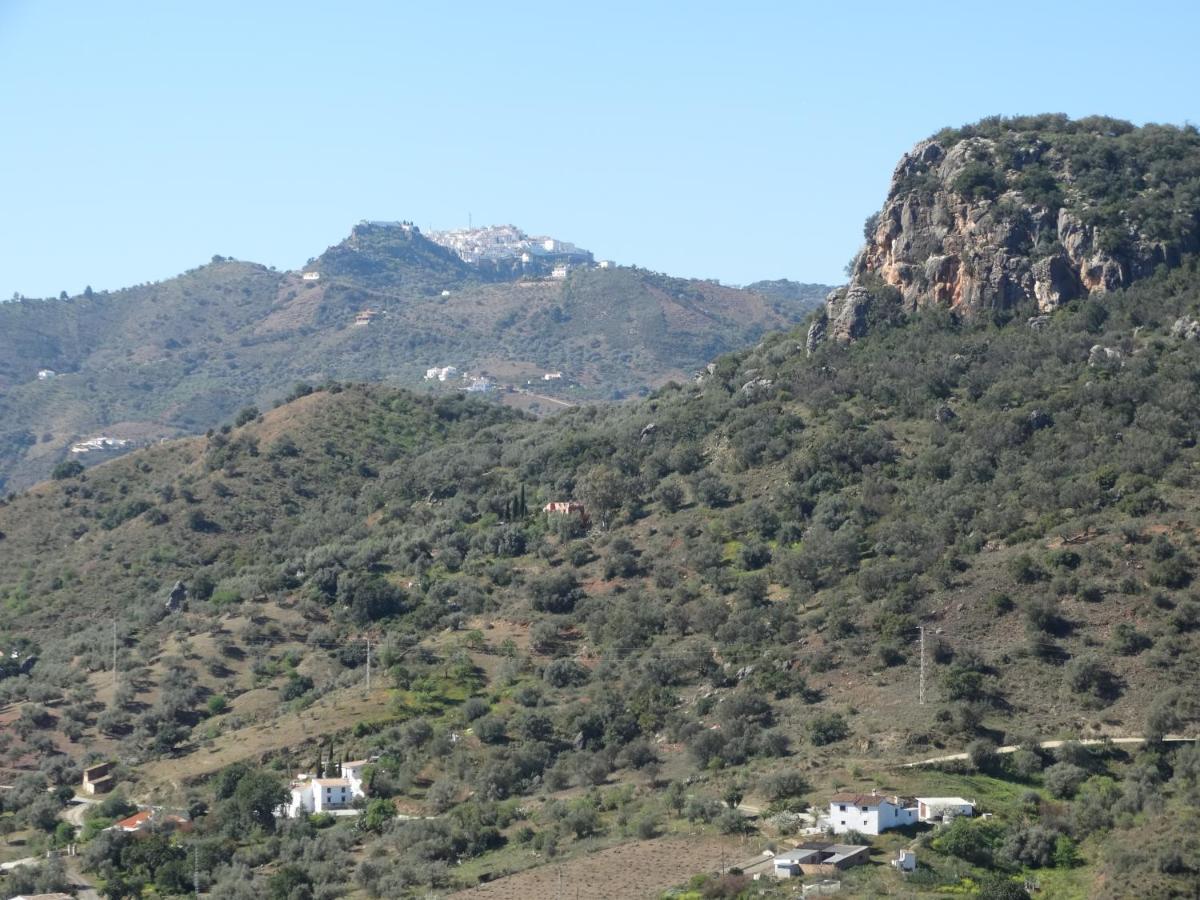B&B Cortijo Loma Leon Кутар Экстерьер фото